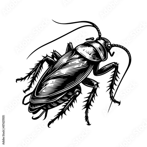 Black and white cockroach logo design. Cockroach logo design vector illustration