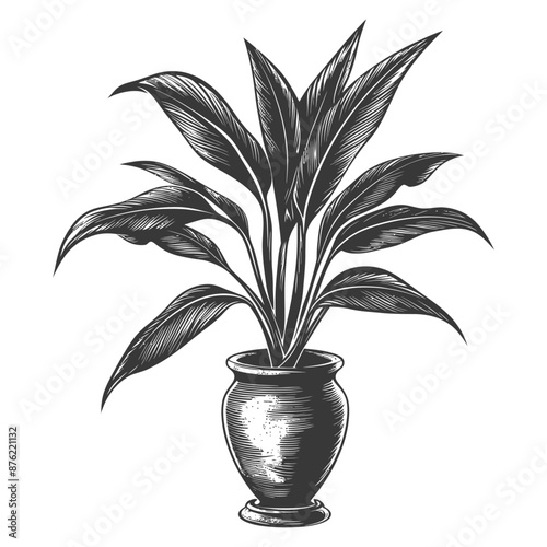 Ornate detailed sketch of a potted houseplant with lush leaves photo