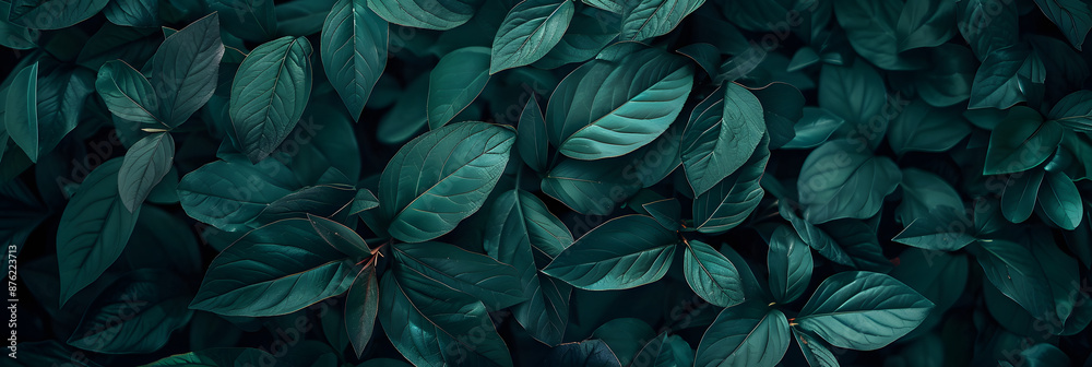 Realistic dark green leaves on a neon frame background, positioned under the photo in the center. Realistic dark green leaves on a neon frame background, positioned under the photo in the center.