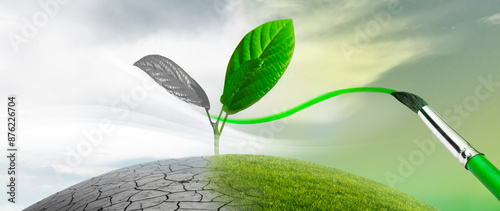 Junge Pflanze wächst aus der Erde zwischen Dürrem Boden und grünem Gras