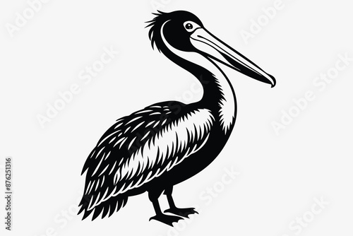 pelican silhouette isolated on white background.eps