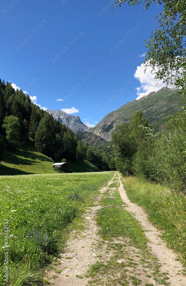 Fototapeta premium Weg