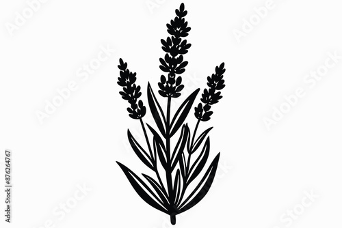 fragrant lavender flower silhouette vector.eps