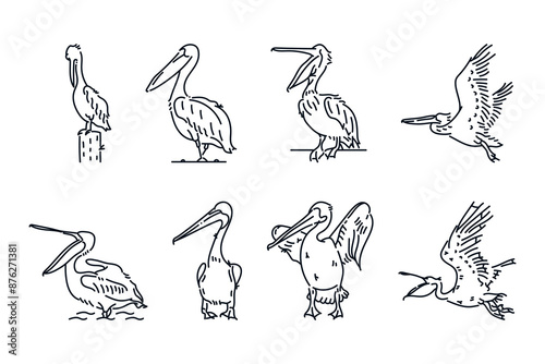 Billede på lærred Set of pelican birds line icon doodle vector illustration
