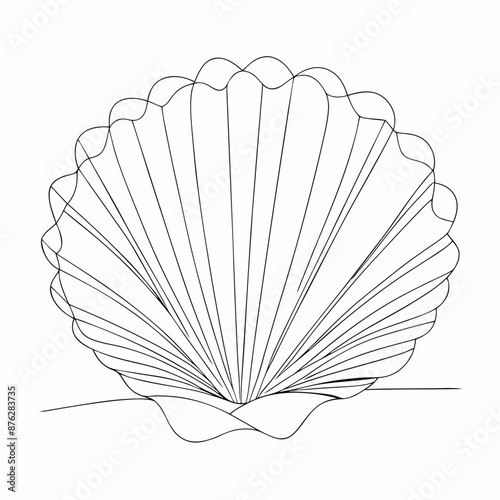 Continuous line drawing seashell sketch, (5)