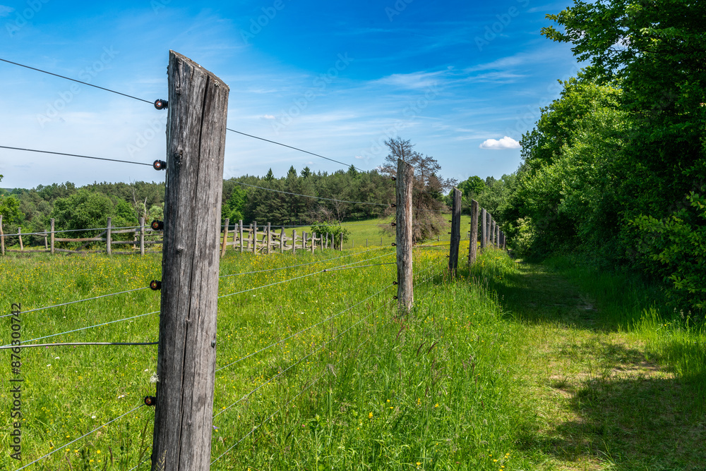 Electric shepherd wire in a plastic holder and green fields in background. Electric shepherd wire in a plastic holder and green fields in background.