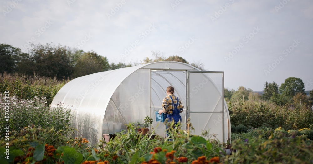 Gardener Overseeing Greenhouse Amidst Lush Garden Gardener Overseeing Greenhouse Amidst Lush Garden