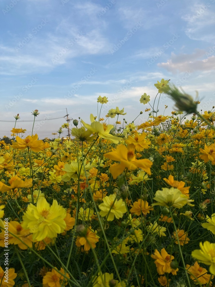 Obraz premium Garden 