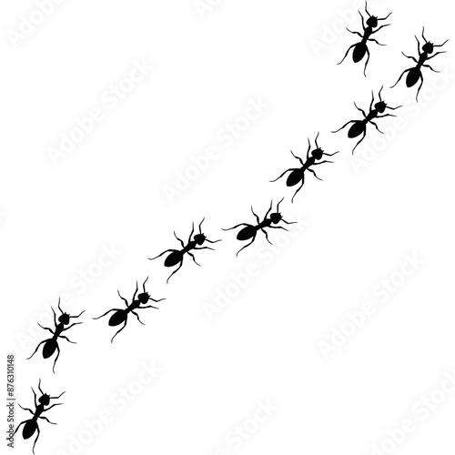 Ants line. Group of ant. Ant and insect silhouette. Ants community