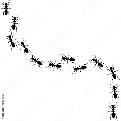 Ants line. Group of ant. Ant and insect silhouette. Ants community