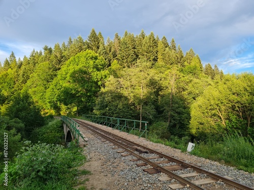 railway in the woods