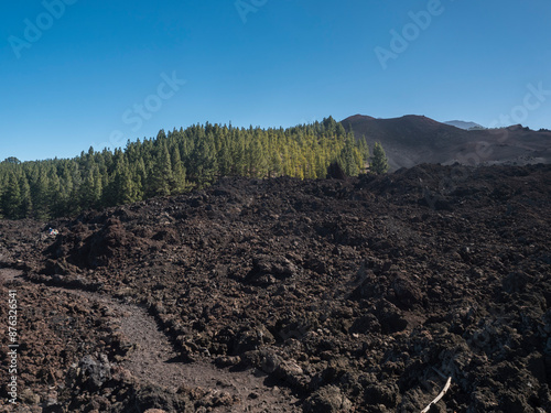 Volcanic landscape at Chinyero volcano circular hiking trail. Black ground of lava ash and rock, green endemic Canary island pines, atlantic ocean and clear blue sky. Tenerife, Spain