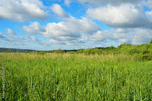 Seenlandschaft Schwielowsee Potsdam Mittelmark photo
