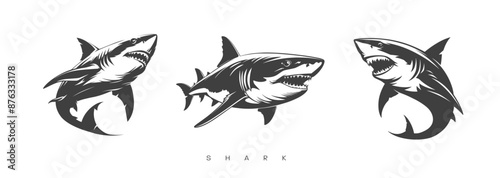 Set of graphic sharks, 2D. For advertising design concepts, logos, signs. Black silhouettes on a white background. Vector