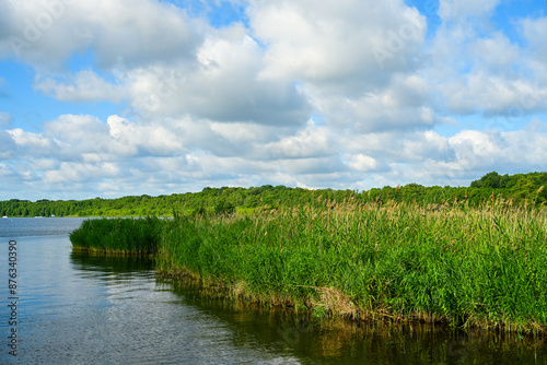 Seenlandschaft am Schwielowsee photo