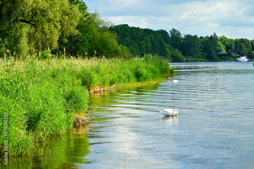 Seenlandschaft am Schwielowsee photo