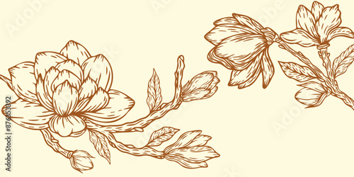 Abstract background with magnolia flowers. Flower wreath.  Summer floral card with magnolia. Floral background for packaging cosmetics and other things.