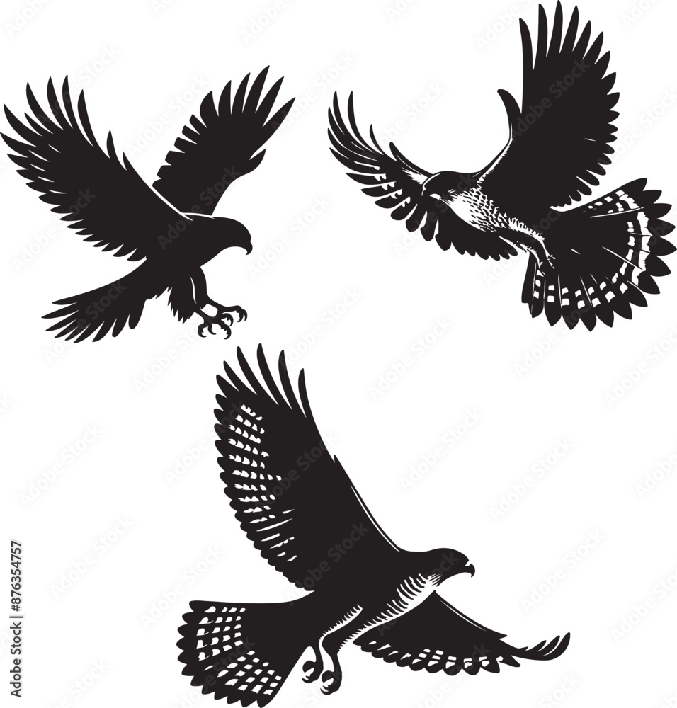 Obraz premium Goshawk flying silhouette