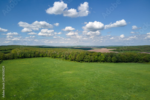 Green agricultural field with growing crops in summer season. Farming and agriculture industry