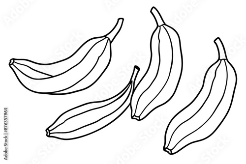 Plantains line art design charming hand drawing illustration