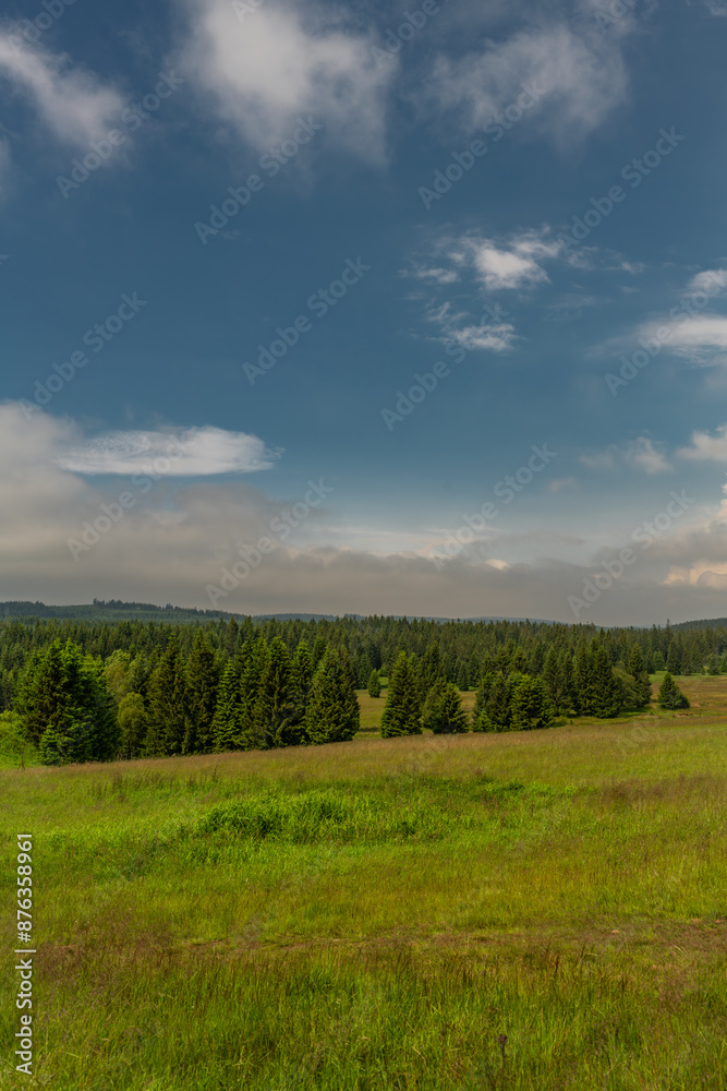 Medows and green pasture land near Bozi Dar town in forests Medows and green pasture land near Bozi Dar town in forests
