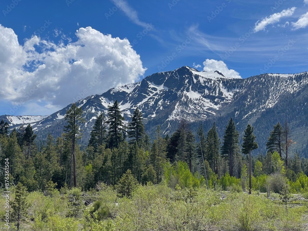Fototapeta premium Mount Tallac, South Lake Tahoe, CA