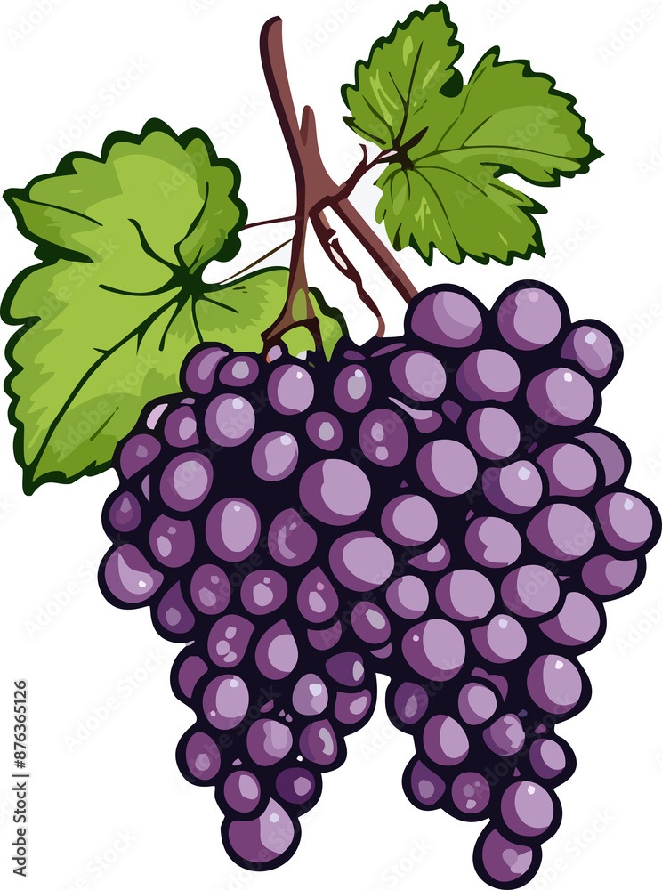 Fototapeta premium Illustration of a Bunch of Grapes