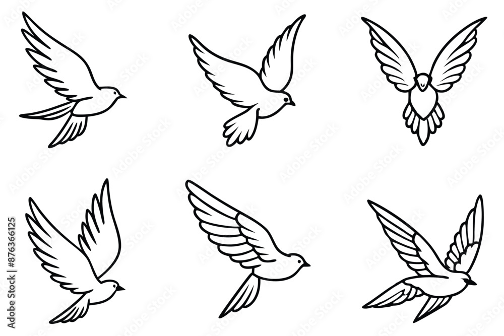 Feathered Flight line art Avian Motion in Black and White Feathered Flight line art Avian Motion in Black and White