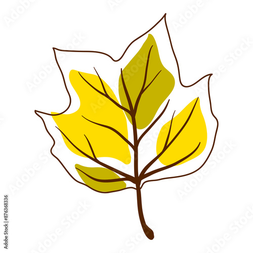 Illustration of tulip poplar leaf. Decorative autumn foliage.