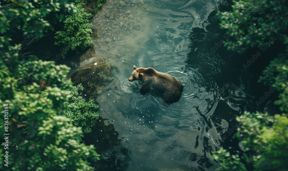 Obraz premium Top view of a bear fishing in a river, lush forest background