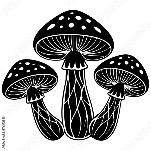 mushrooms fruiting bodies and the mycelium weave