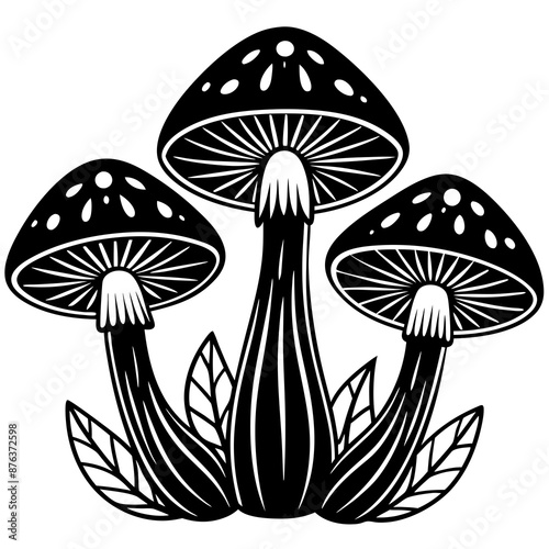 mushrooms fruiting bodies and the mycelium weave