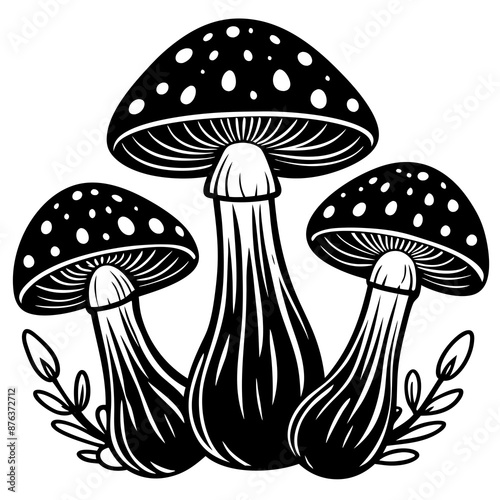 mushrooms fruiting bodies and the mycelium weave