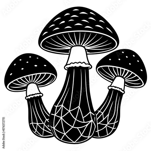 mushrooms fruiting bodies and the mycelium weave