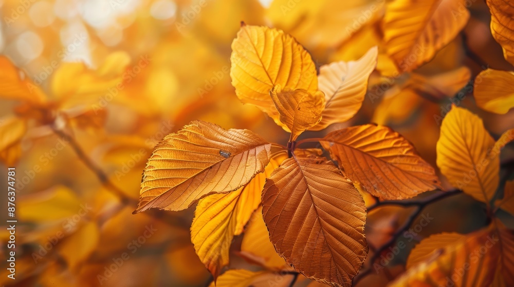Close-up of orange autumn leaves on a branch