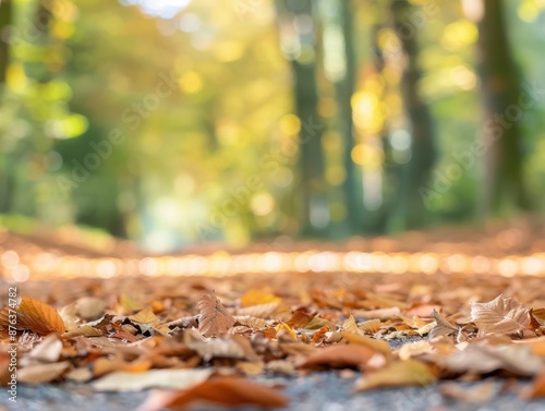 Selective focus on fallen leaves in a mixture of colors © EC Tech 