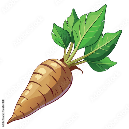 realistic Arrowroot against a white backdrop