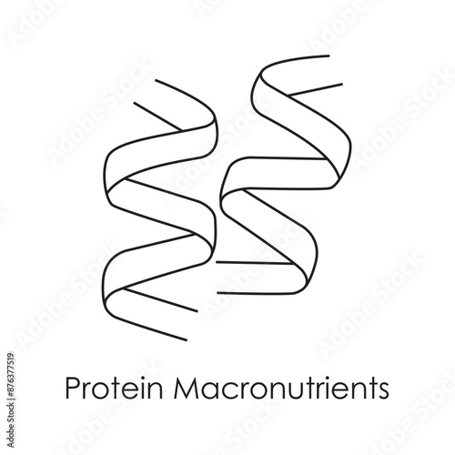 Protein Macronutrients Icon: Essential Nutrition Vector with editable stroke.