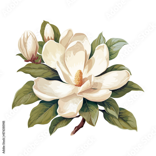 Bouquet of white magnolia in watercolor style isolated on a white background, vector magnolia flowers with buds and green leaves illustration