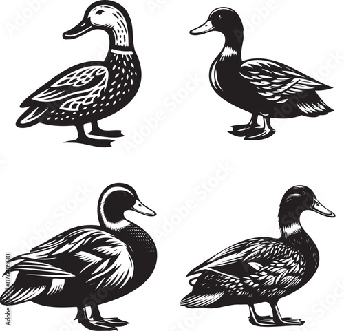 duck silhouette, duck full body black silhouette, duck vector png photo