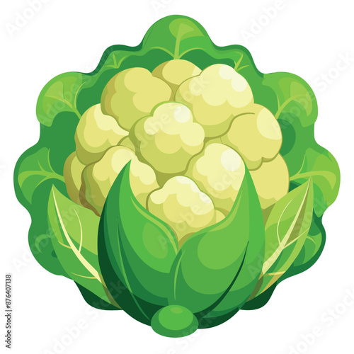 realistic cauliflower set against a white backdrop