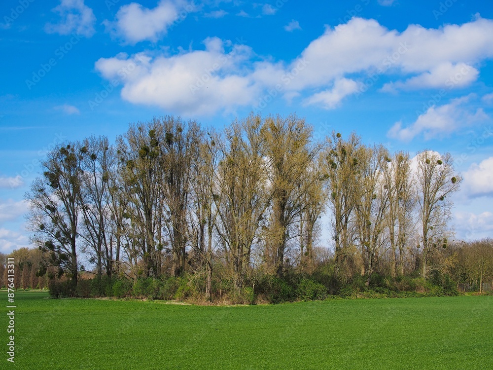 Schöne ländlichen Umgebung mit blauem Himmel