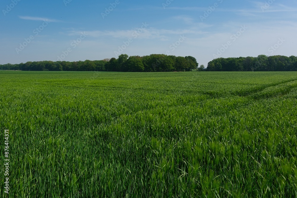 Schöne ländlichen Umgebung mit blauem Himmel Schöne ländlichen Umgebung mit blauem Himmel