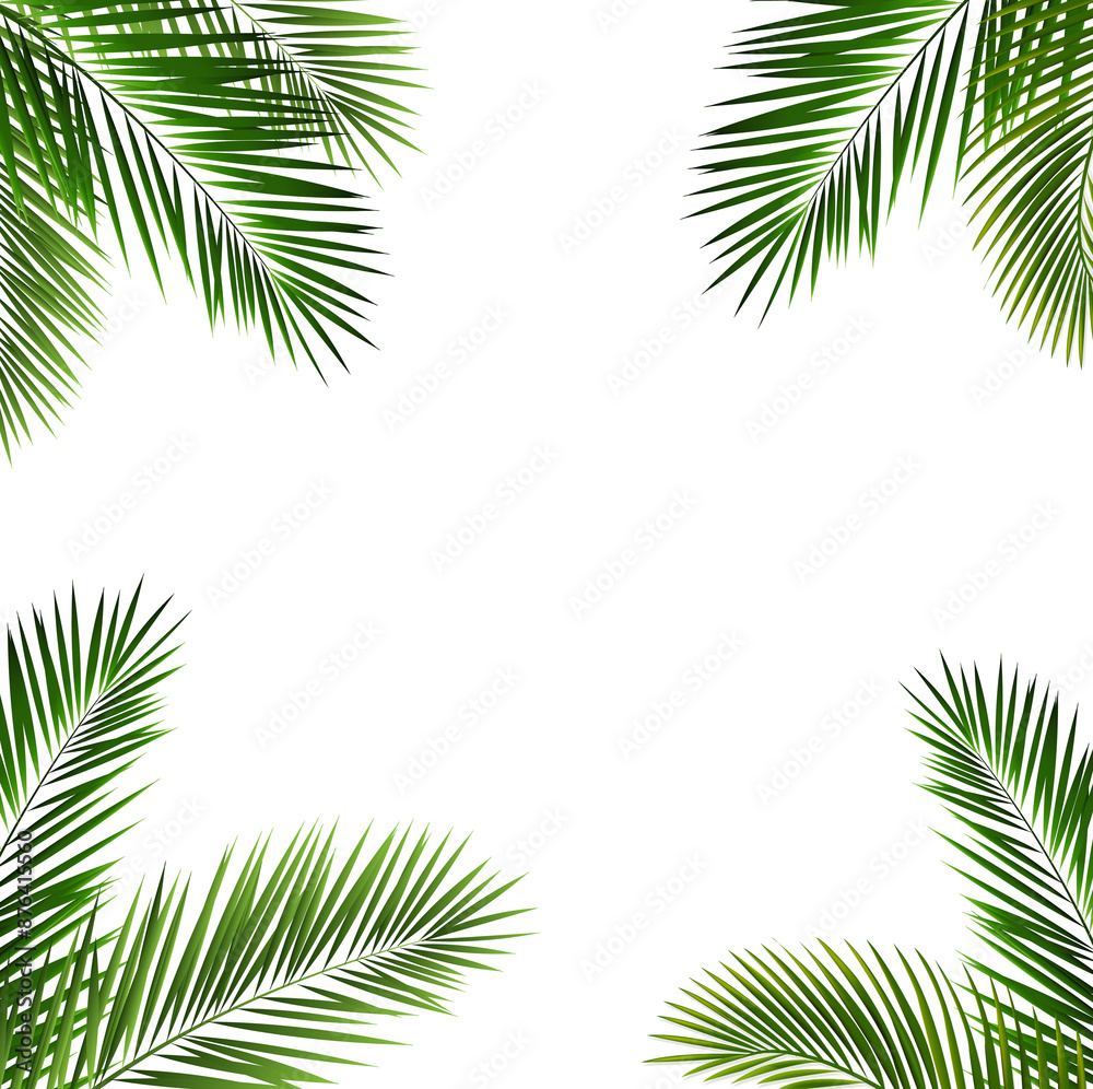 Green Tropical Branch Isolated White Background Green Tropical Branch Isolated White Background