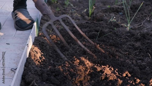 Wallpaper Mural Loosening the soil before planting, taking care of the soil in the garden. Torontodigital.ca