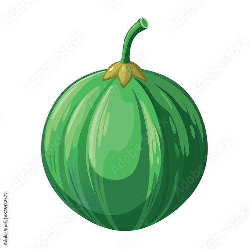 genuine ash gourd with a white backdrop