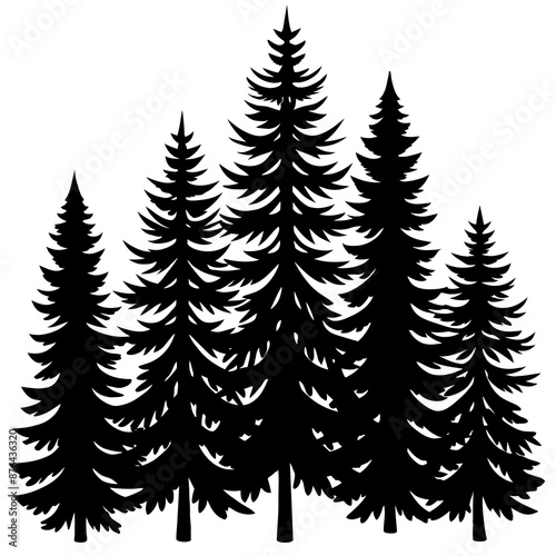 Pine Tree Silhouette Vector on White Background © Mosharef 