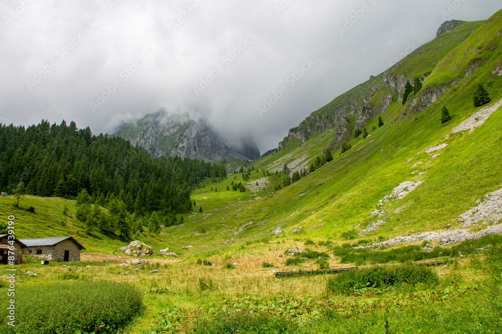 Obraz premium landscape in the mountains