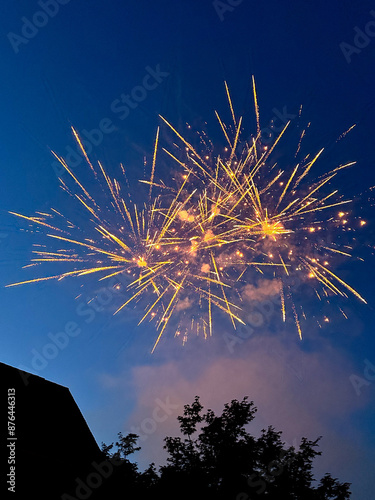 Golden fireworks exploding above trees and houses