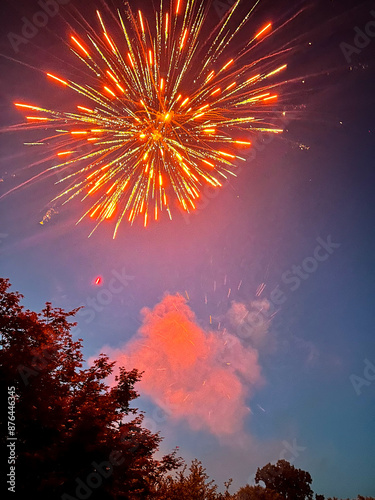 Red and gold firework sprays above a tree line